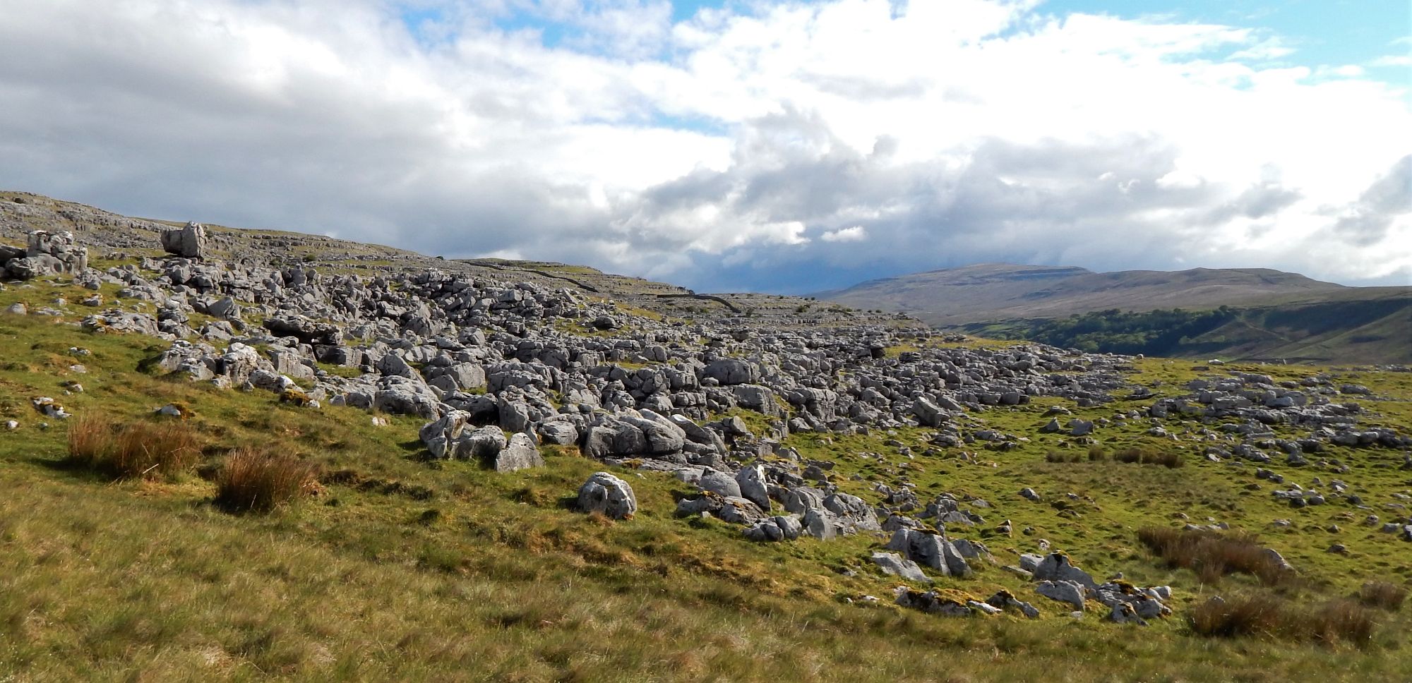 Limestone at Tow Scar