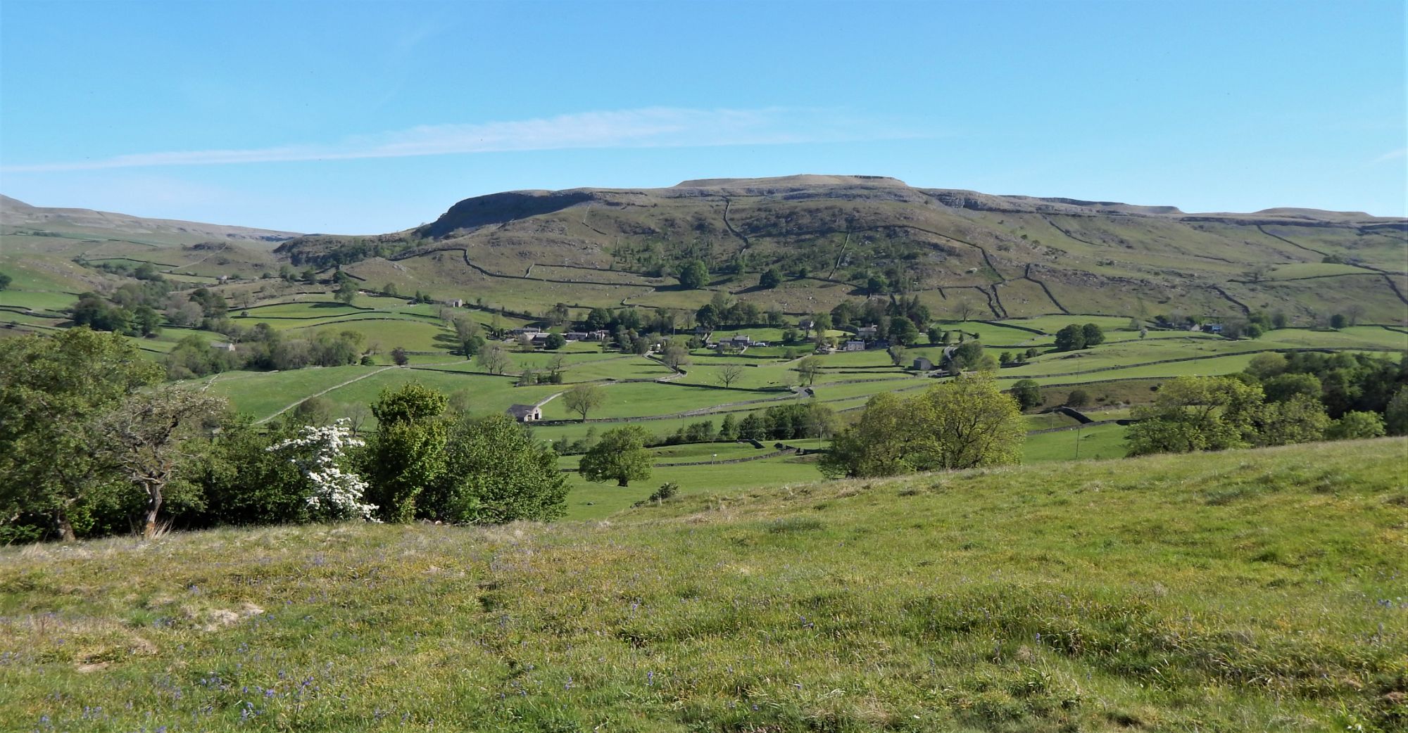 Wharfe near Austwick