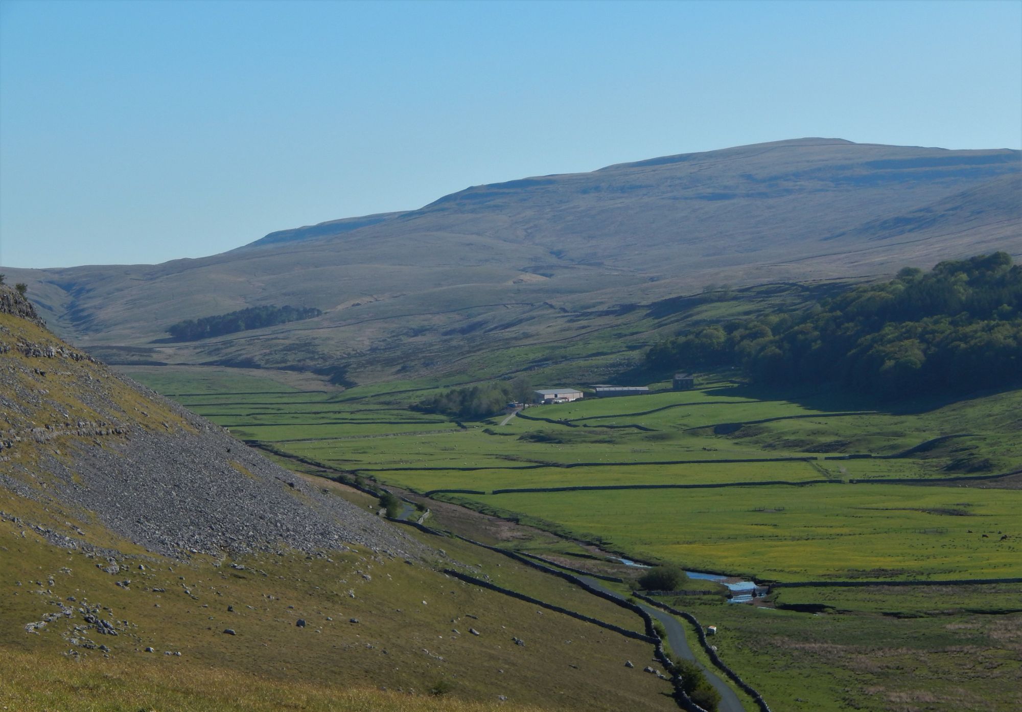 Whernside and the meadows of Kingsdale from Tow Scar