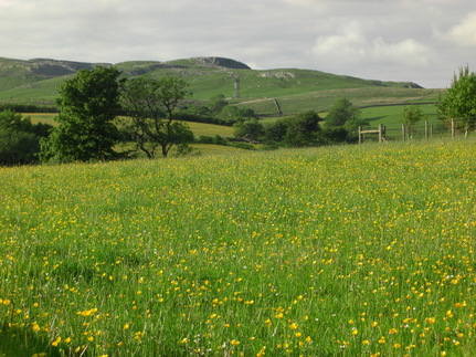 Across the meadow and looking toward Kingsdale