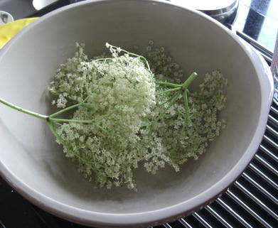 Elderflower Cordial 2