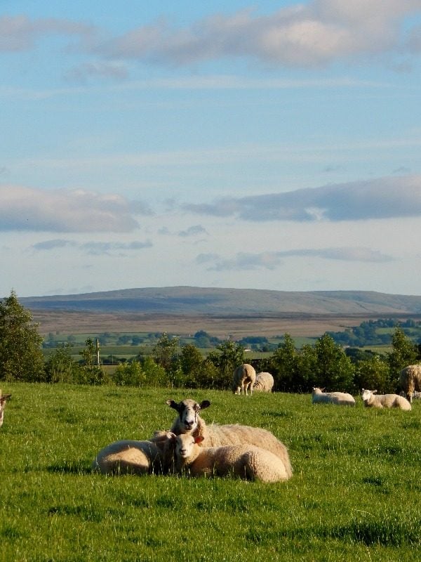 Towards Burnmoor from Thornbrook Barn