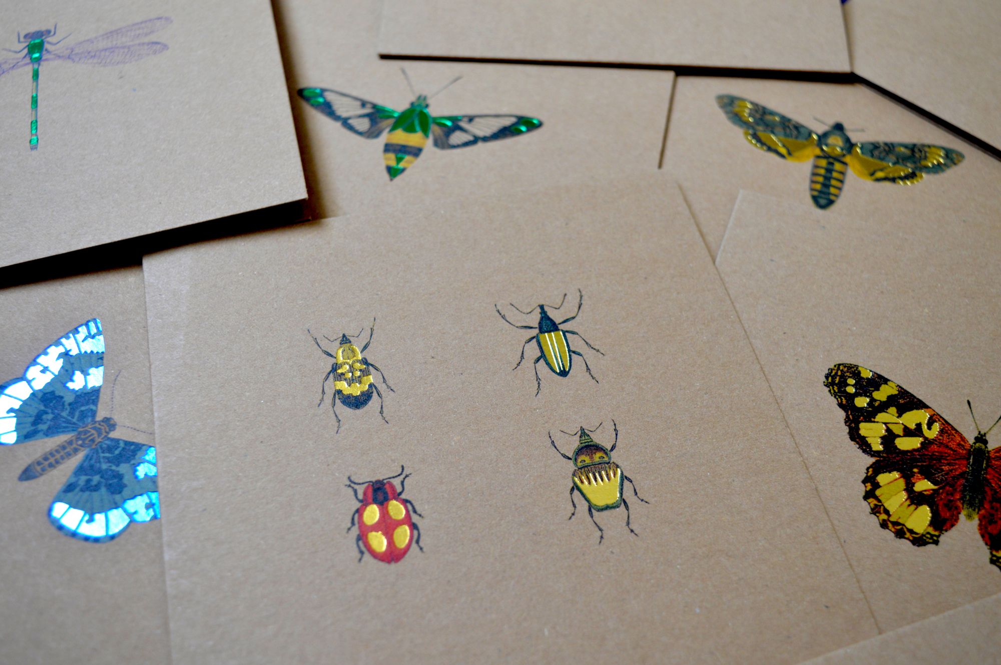 Selection of Foiled bug greeting cards