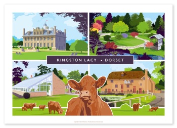 KINGSTON LACY MULTI PRINT