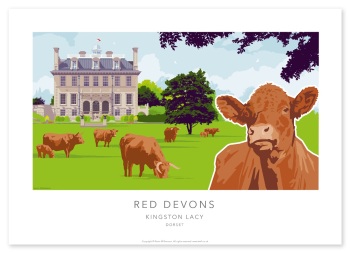 KINGSTON LACY - Red Devon