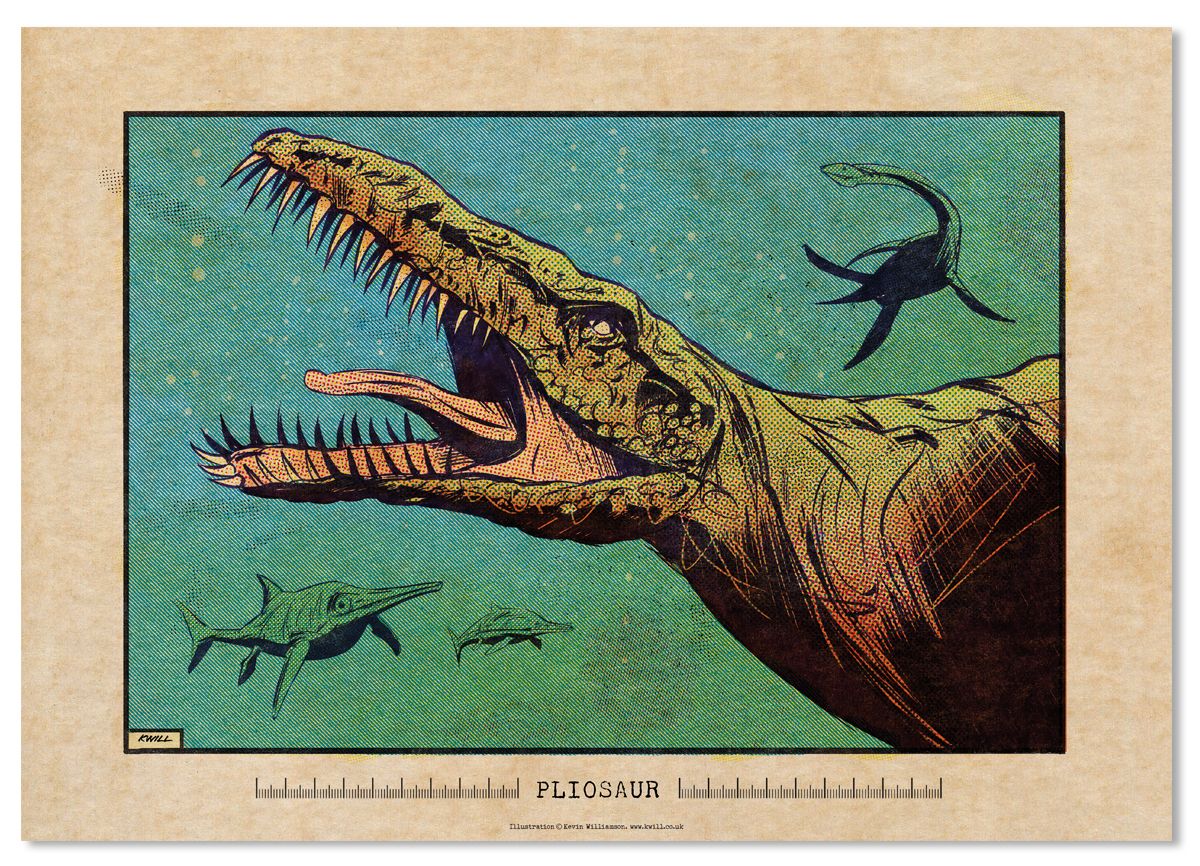 PLIOSAUR PRINT II