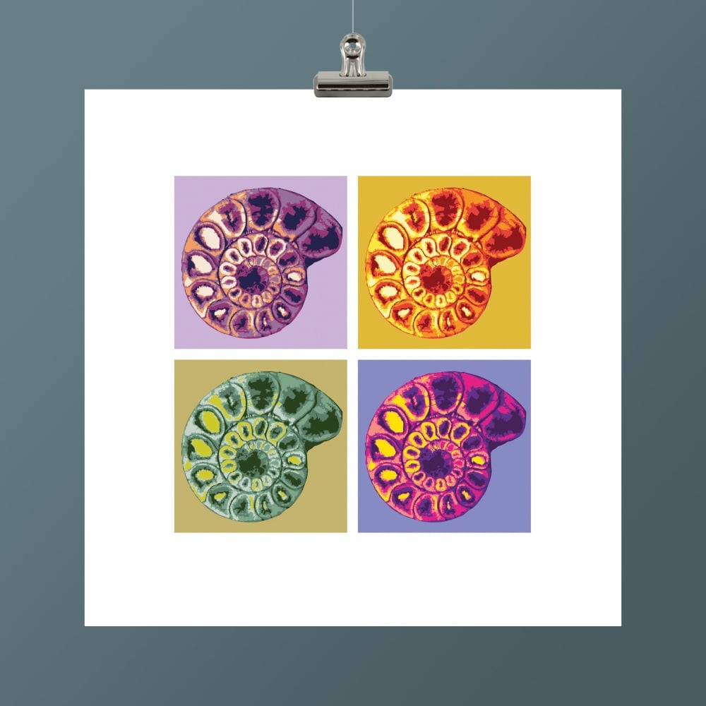 AMMONITE I