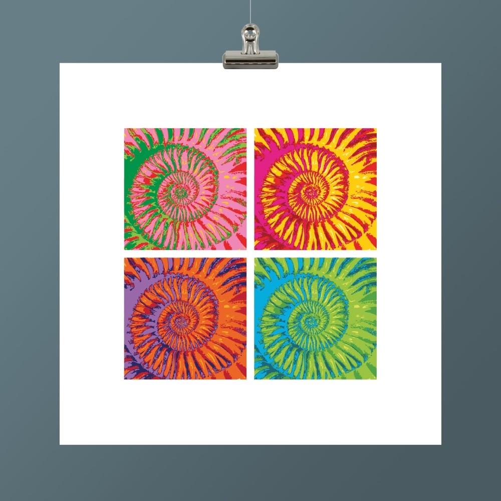 AMMONITE V