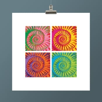 AMMONITE V
