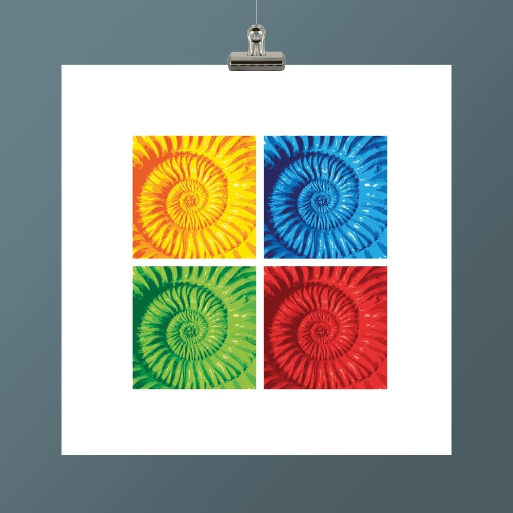 AMMONITE VI