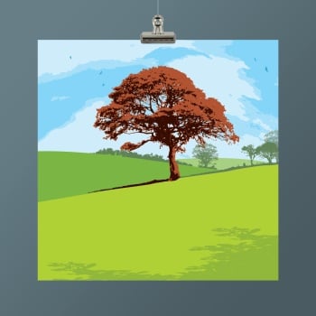 Solo Tree