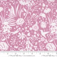 Wild Meadow Sweet Pea 43132 16