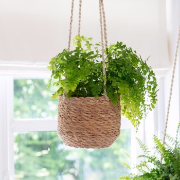 Seagrass Woven Hanging Plant Pot