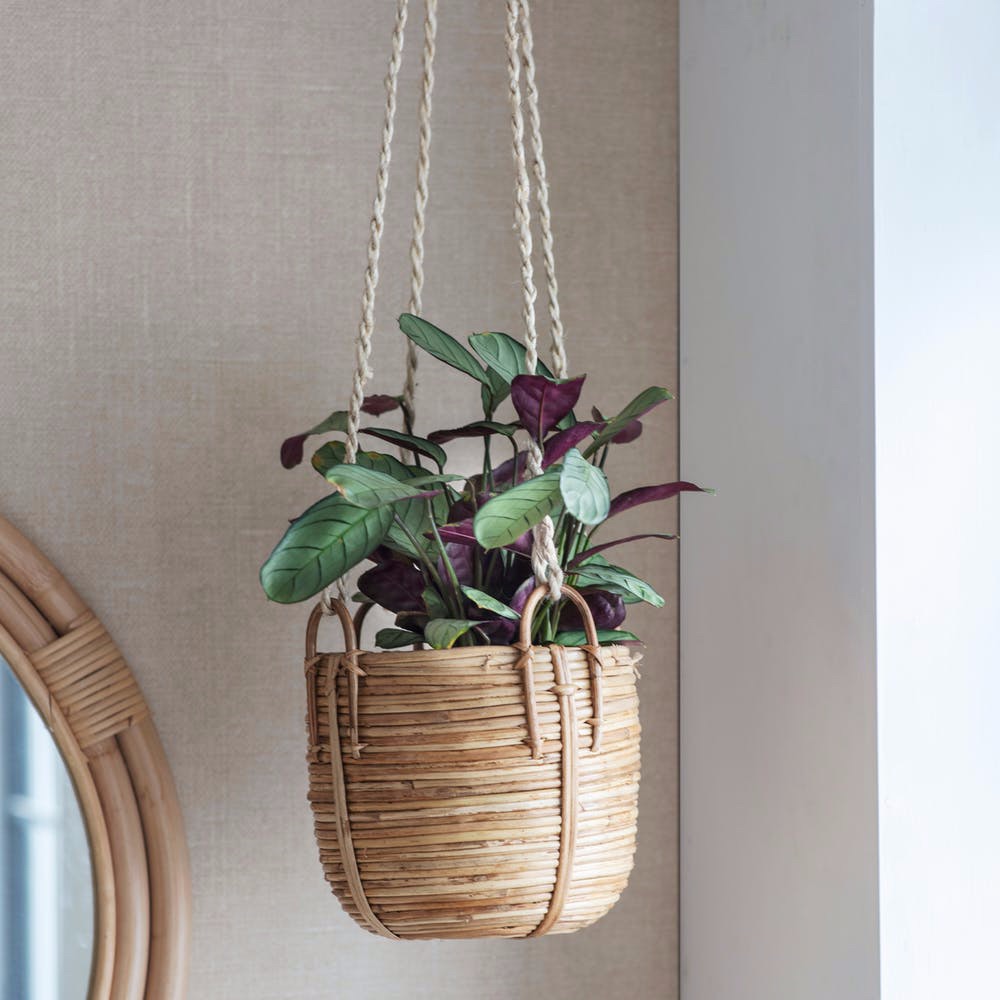 Rattan Hanging Plant Pot