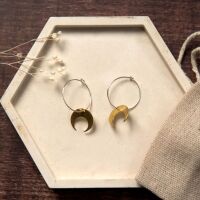 Medium Brass Crescent Moon Earrings