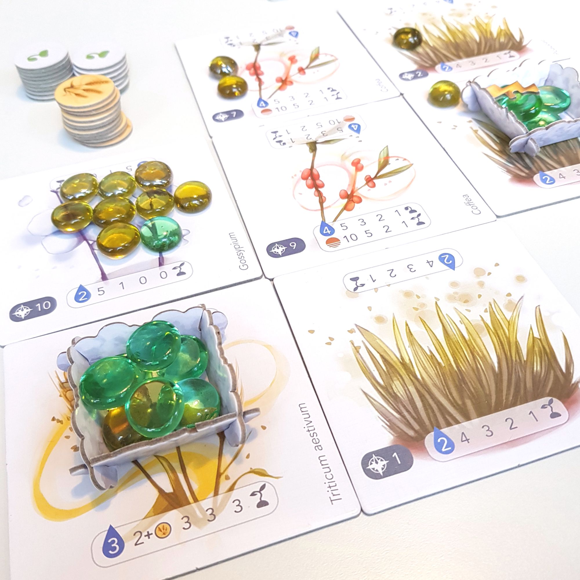 Petrichor Board Game