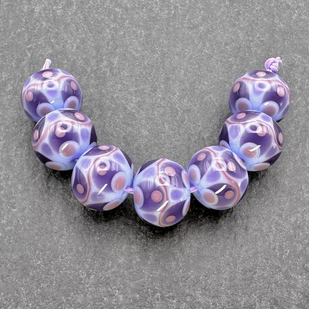 'Blueberry' - Strand 1