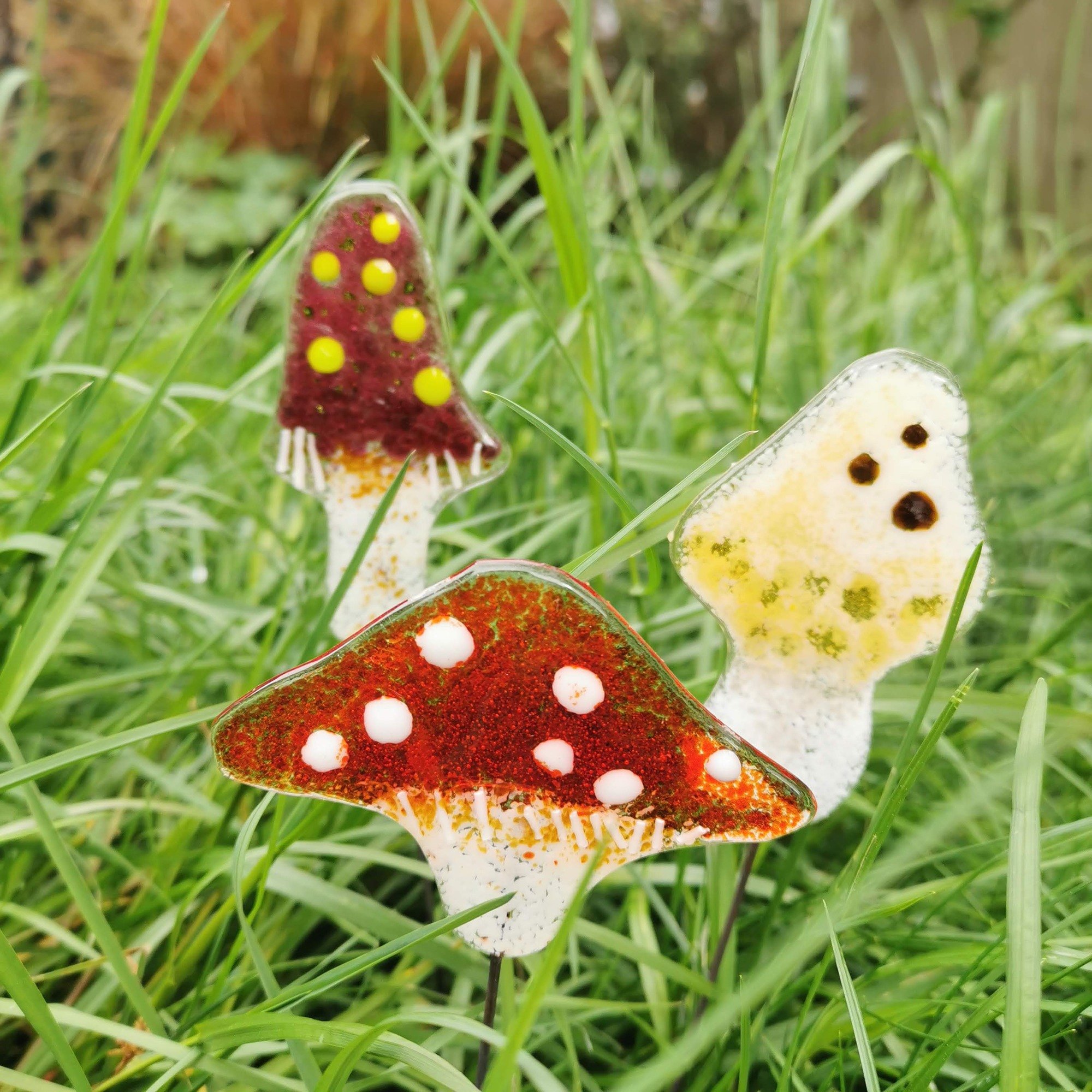 3 toadstools.jpg