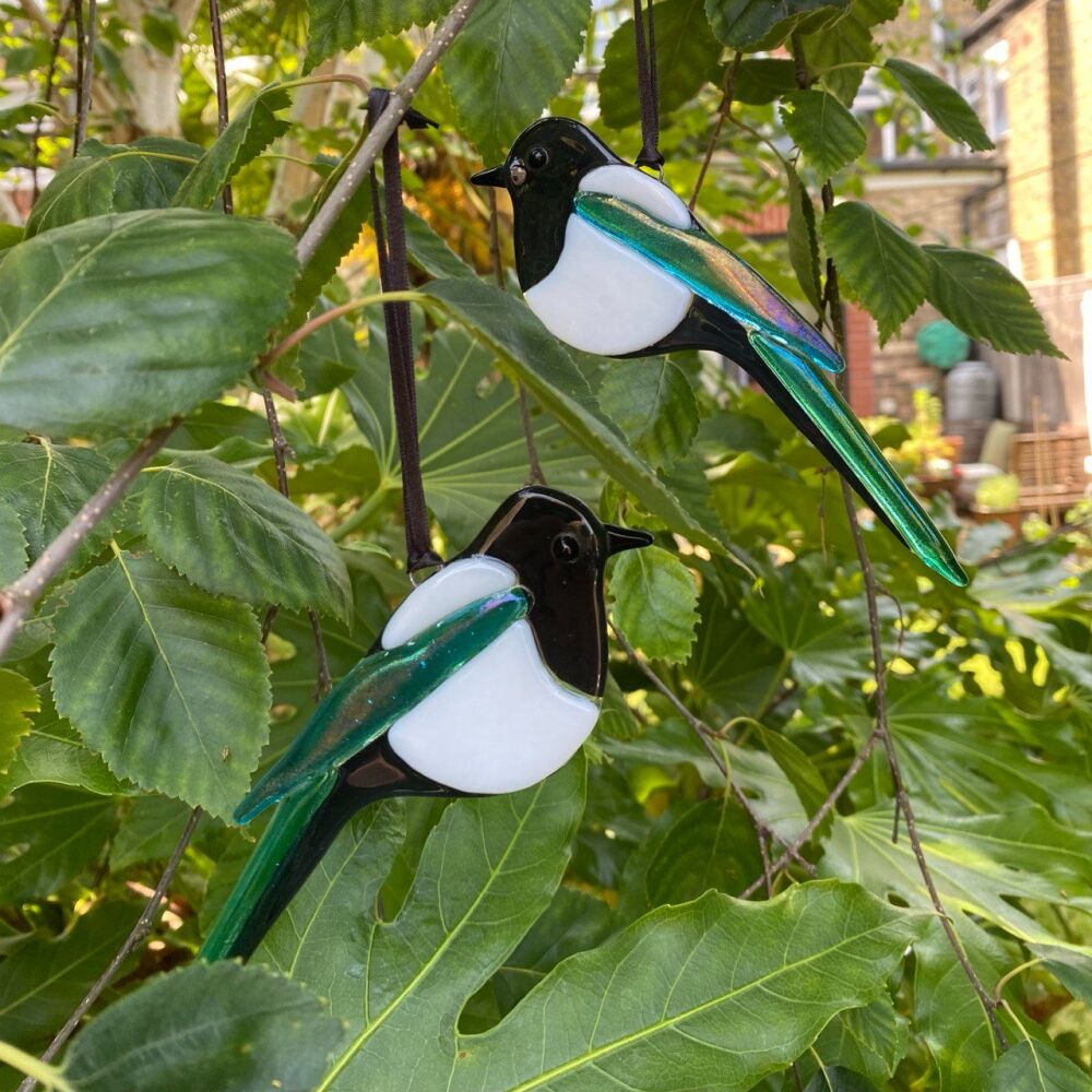 Magpie