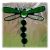 Dragonfly beadtail 016 Green #1404 @Marketsday @141118 @7.50