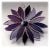 Purple Flower 006#1602 @FOLKSY @160212 @16.00