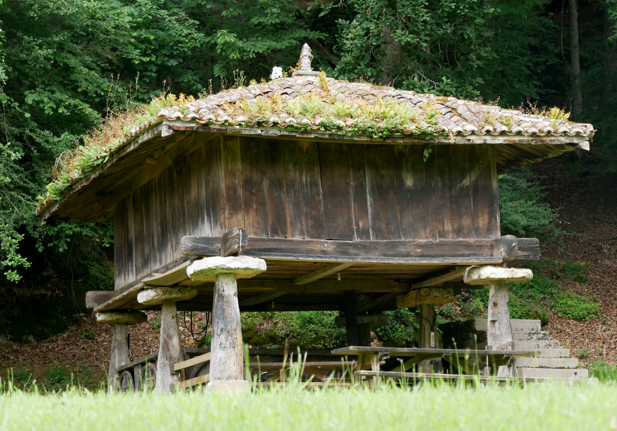 250608 Cangas de onis (203)