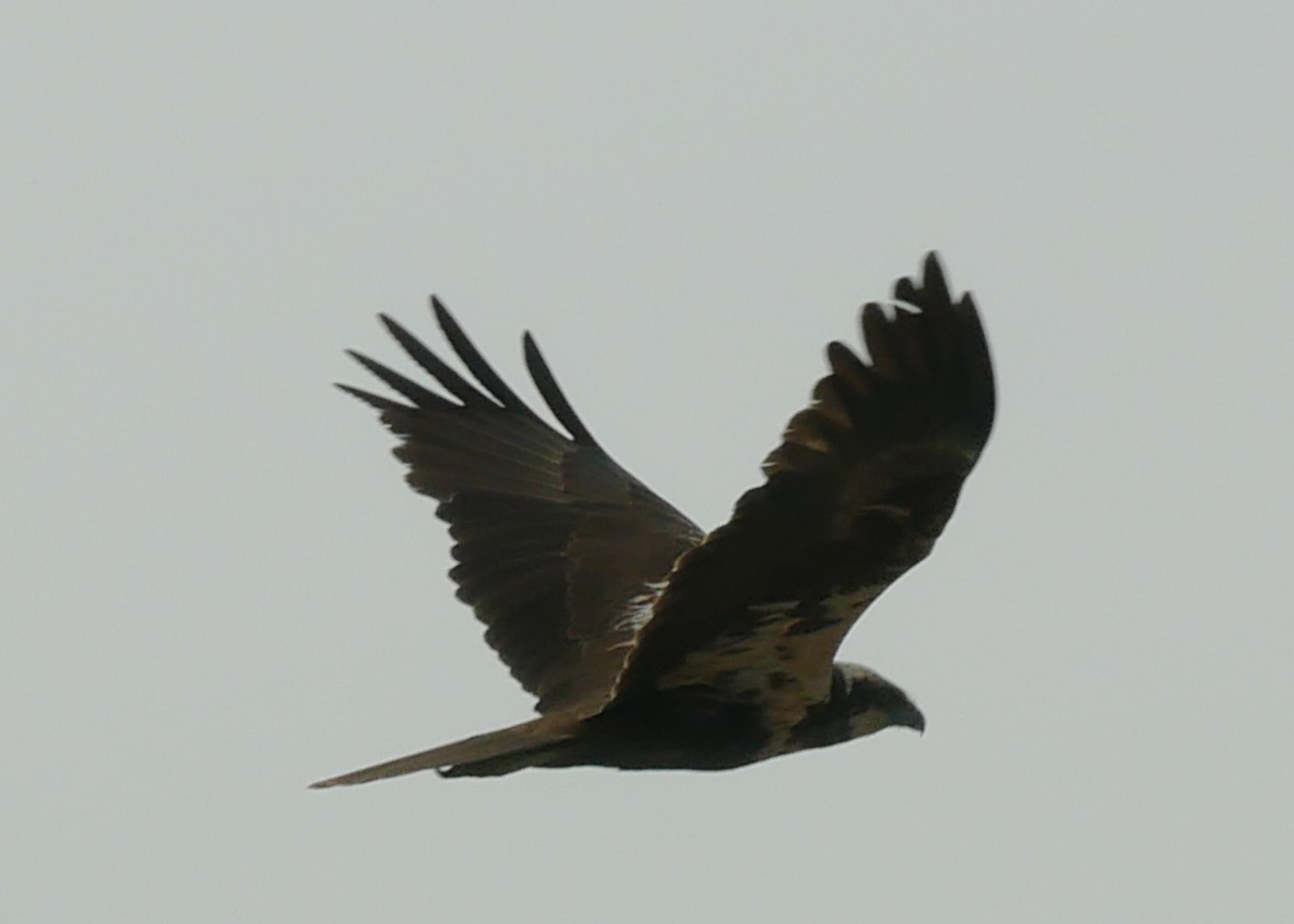 250611 cuidad rodrigo (26)