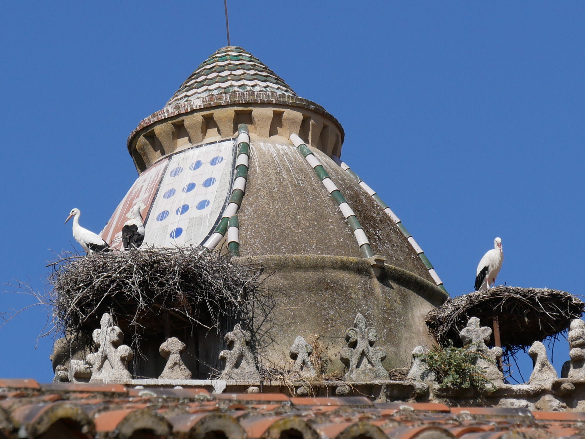 250614 Trujillo (98)