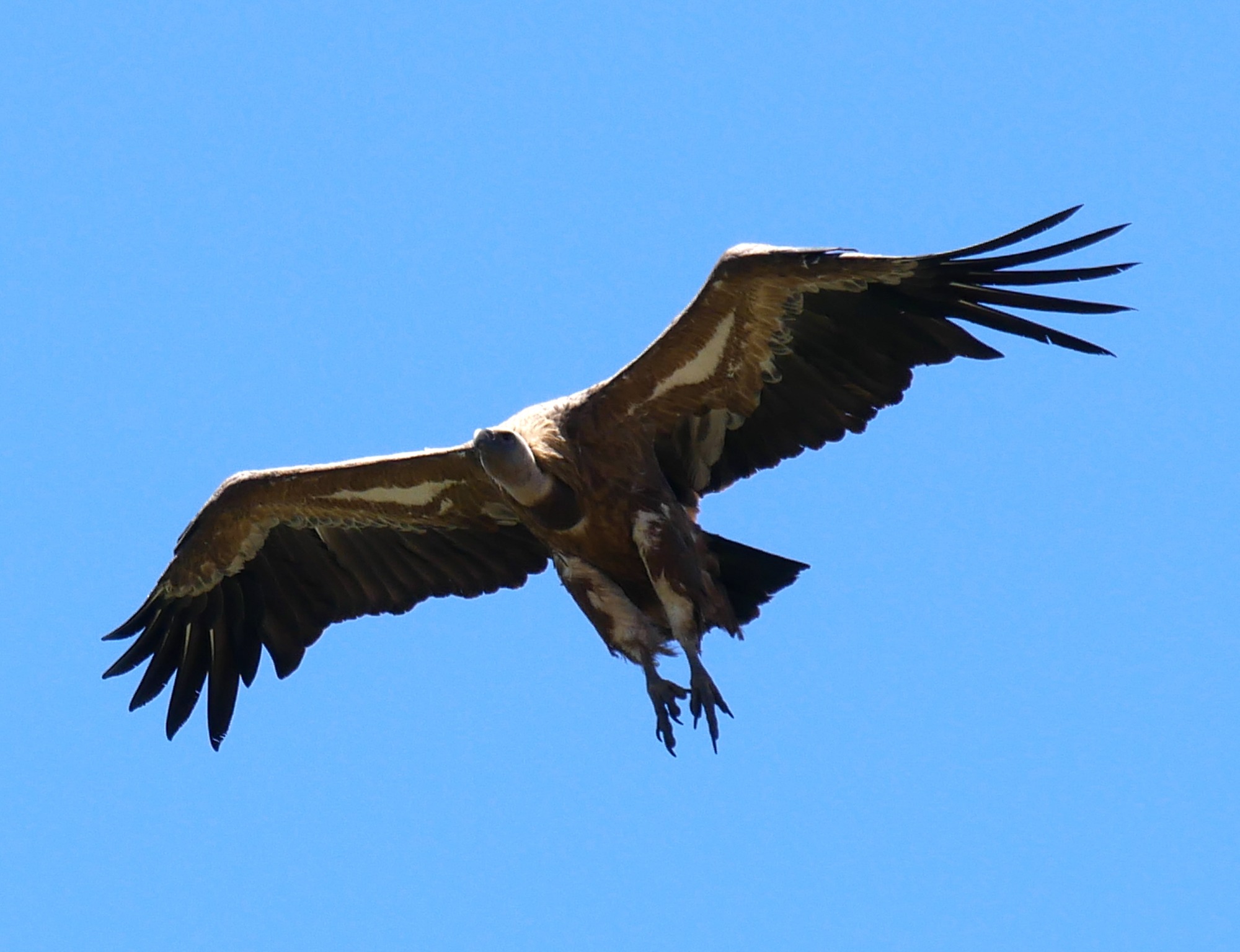 250614 Trujillo (273)