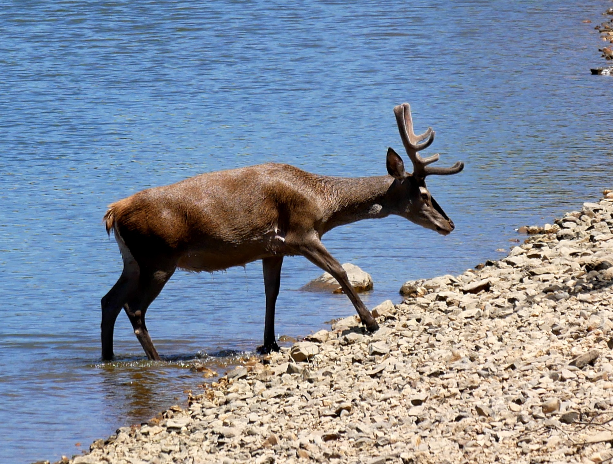 250614 Trujillo (316)