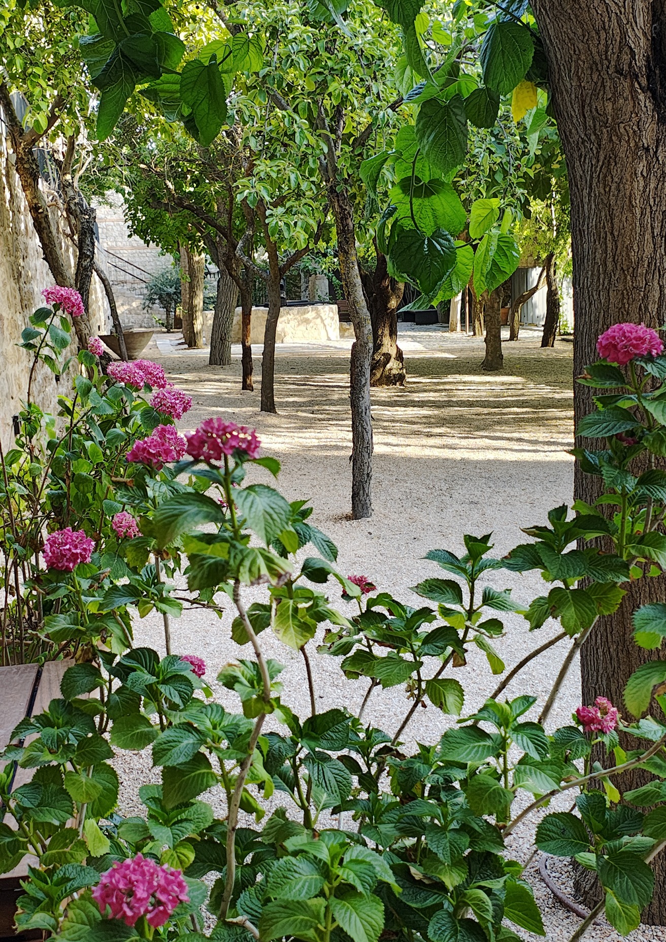 250617 Chinchon (82)