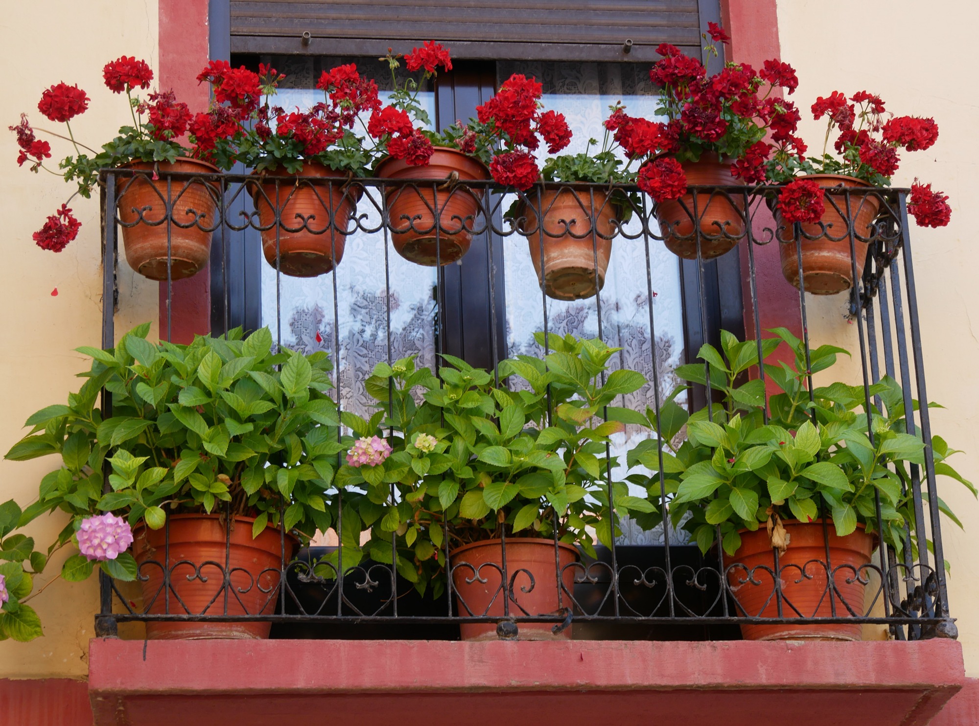 250618 Santo domingo de Calzada (333)