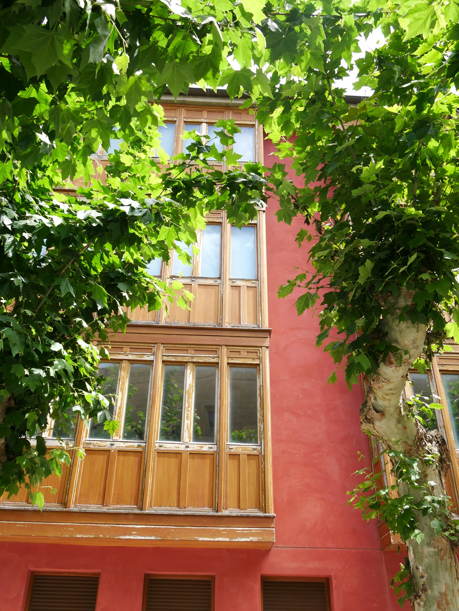 250619 Santo Domingo de Calzada (132)