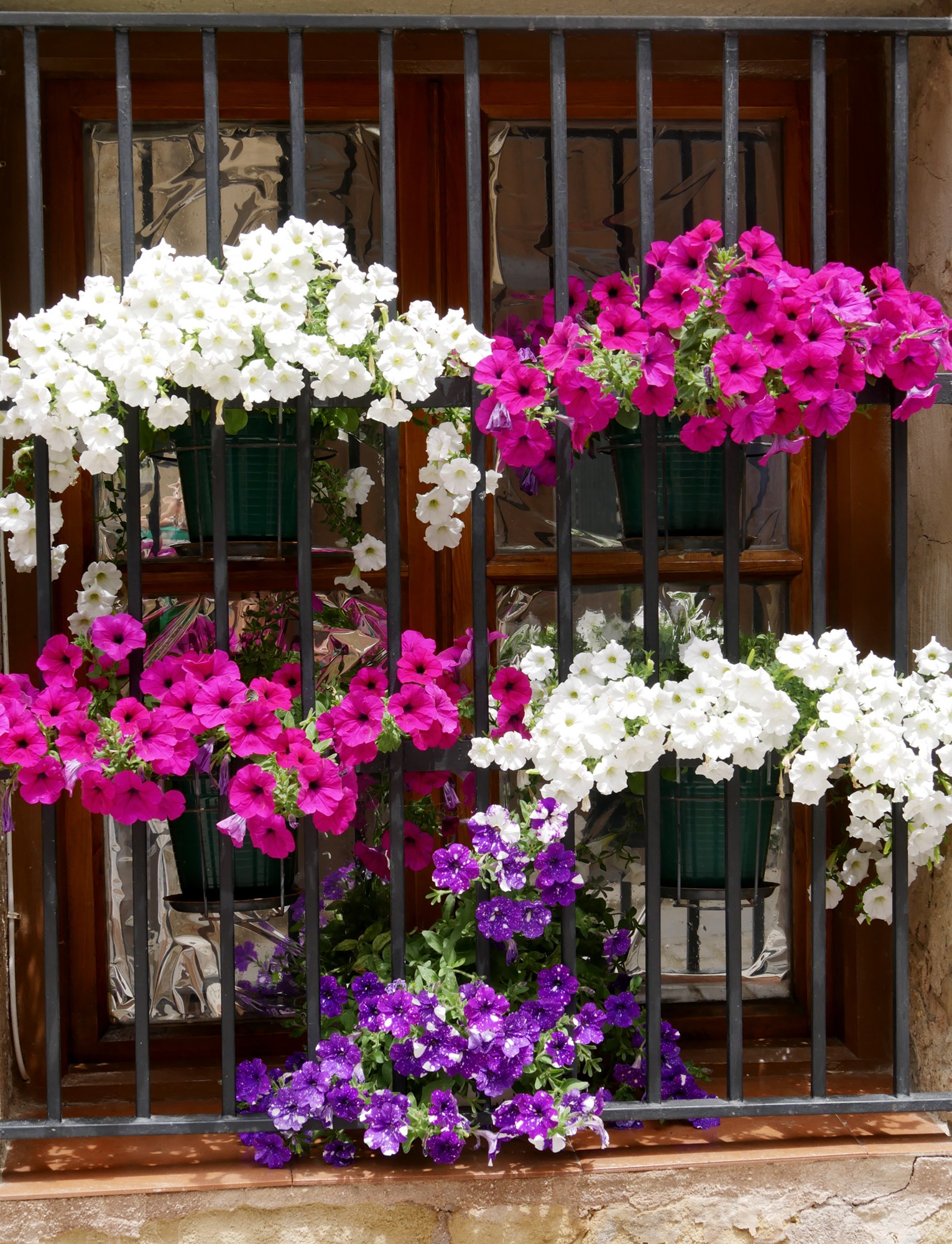 250619 Santo Domingo de Calzada (184)