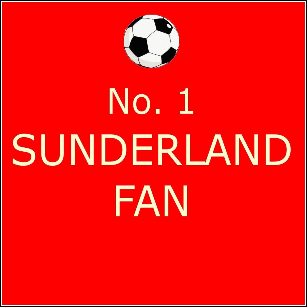 CO05 No 1 Sunderland Fan