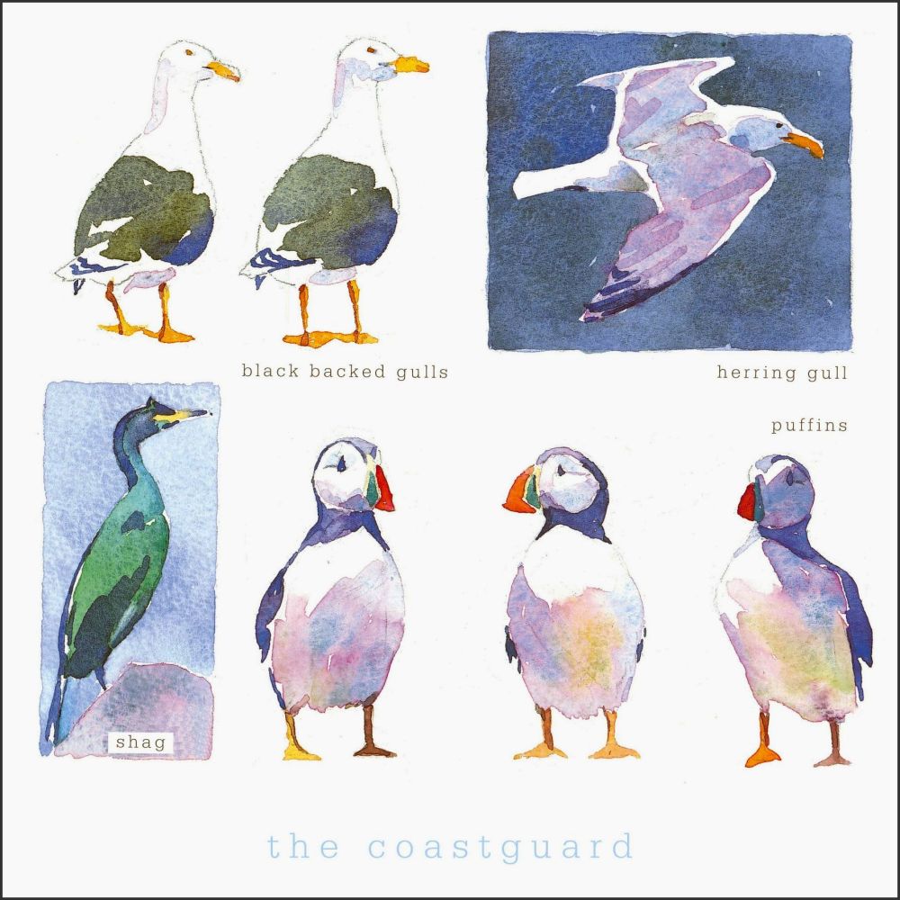 The Coastguard