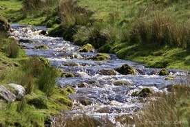 Discharge sewage treatment plant effluent to streams wherever possible