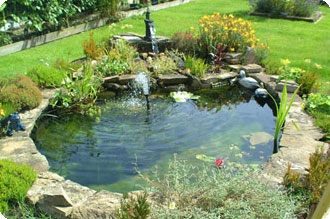 garden pond landscaping