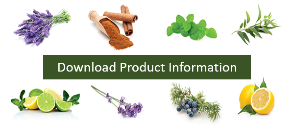 Download Product Information