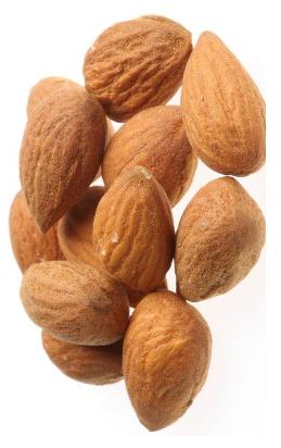 sweet almond