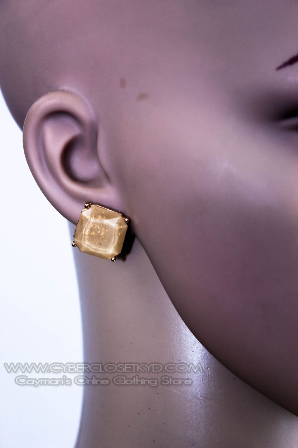 Gold Trim Stone Stud Earring