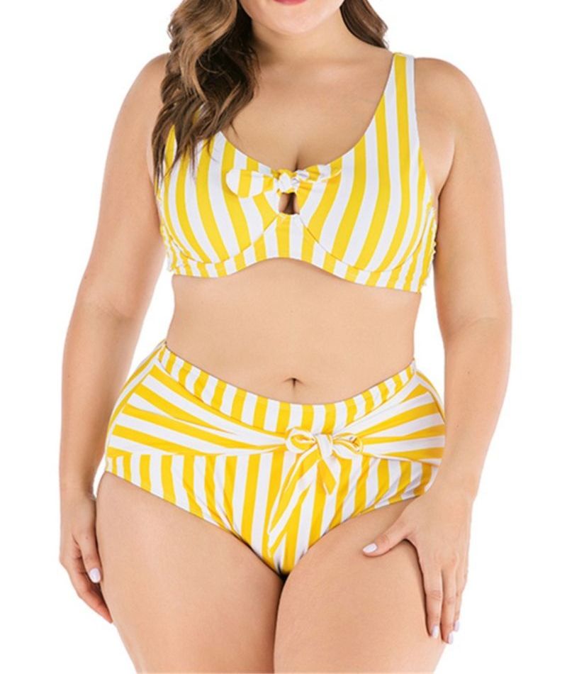 Stripe Two-piece Bikini Size: 2XL