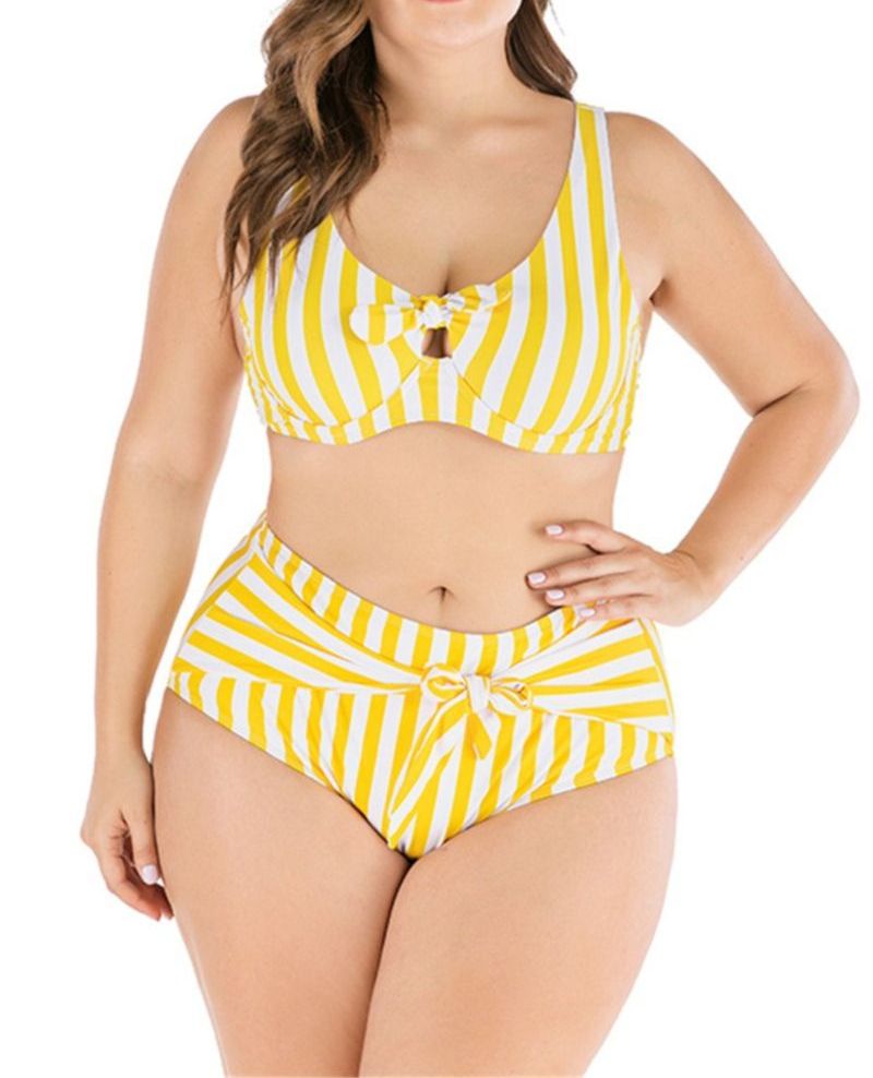 Stripe Two-piece Bikini Size: 2XL