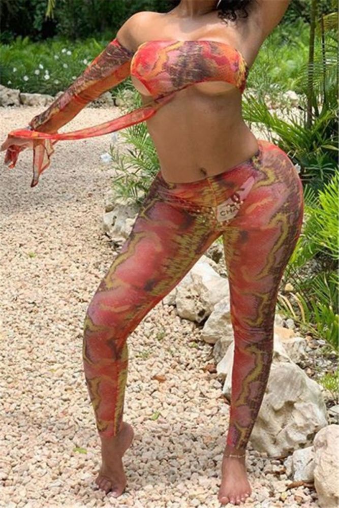 Buy 2 for $25 Multicolor Snakeskin Print Mesh See Through Two-Piece Set Size: S/M
