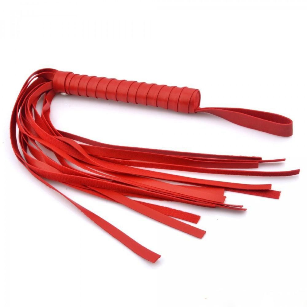 My Naughty Little Red Whip 