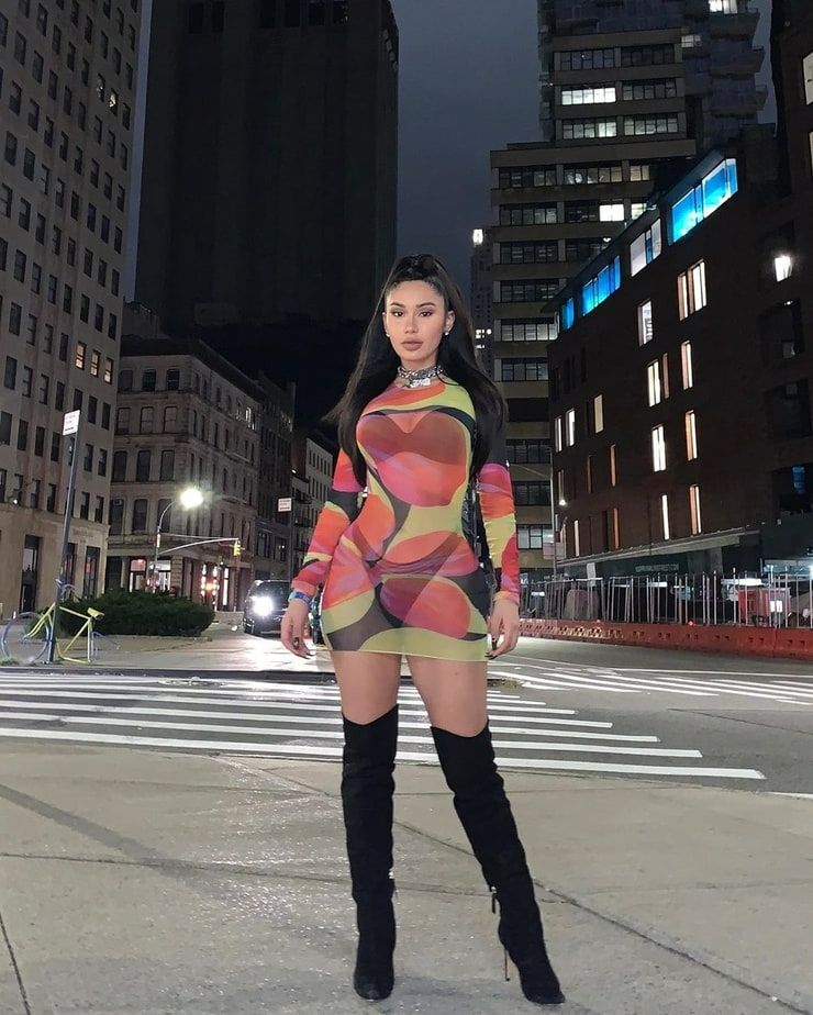 B252 Long Sleeve Mesh Patchwork Printed Mini Dress Size: M
