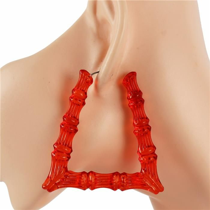 Acrylic Rectangle Bamboo Hoop Earrings SKU: 18740BKE