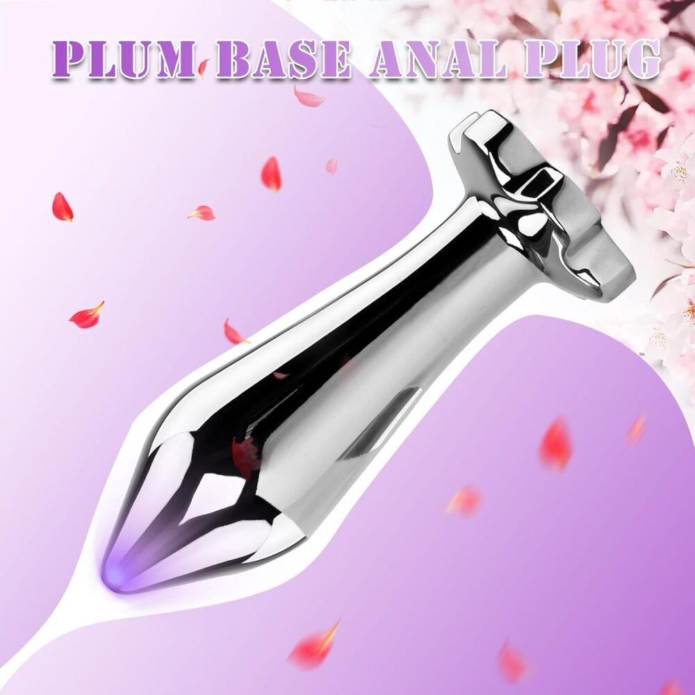 Stainless Steel Luxury Anal Plug SKU: M098411