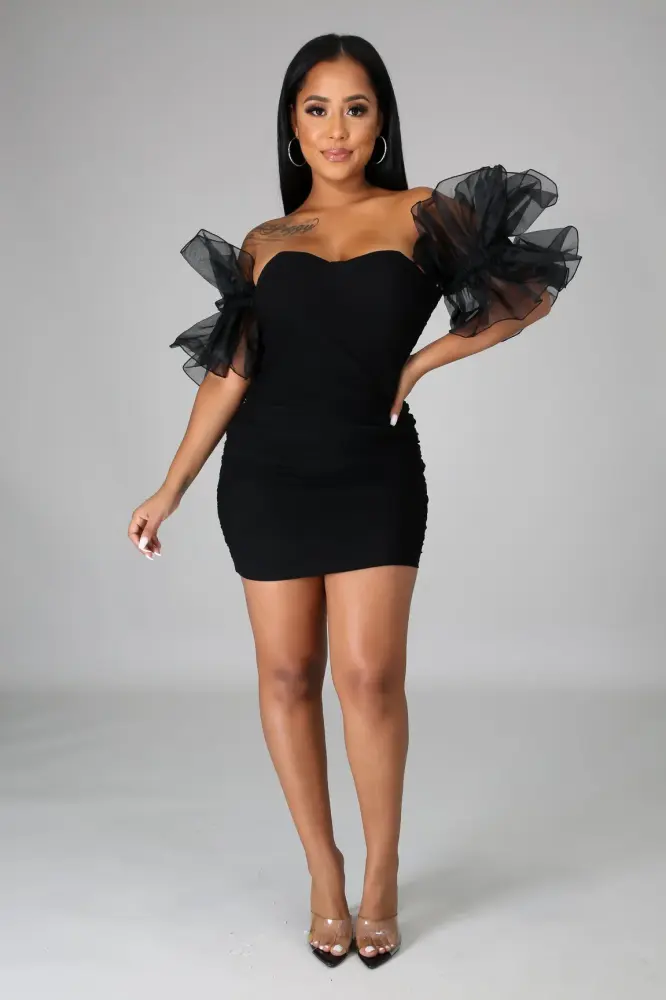 Party All Day Short Puff Tulle Sleeves Dress SKU: 4546473