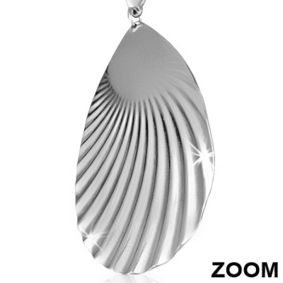 Scallop Shell Earrings